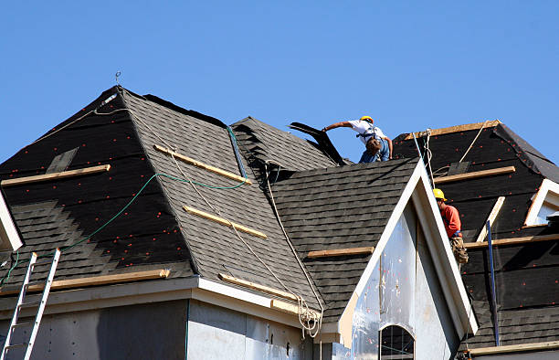 Best Roof Gutter Cleaning  in Rayville, LA